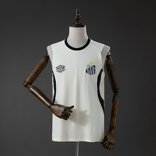 Santos Santos 26/27 Training Vest Beige S-4XL