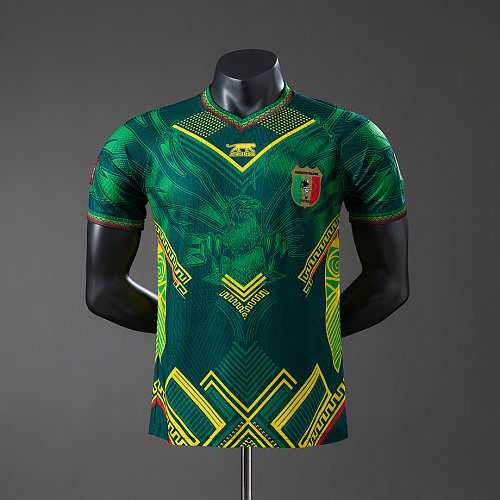 Mali Mali 25/26 Away Player Version Jersey S-XXL