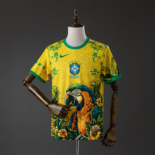 Brazil Brazil 2026 Special Edition Jersey S-XXL