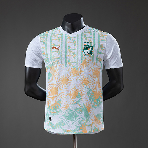 Ivory Coast Ivory Coast 2026 Away Player Version Jersey S-2XL
