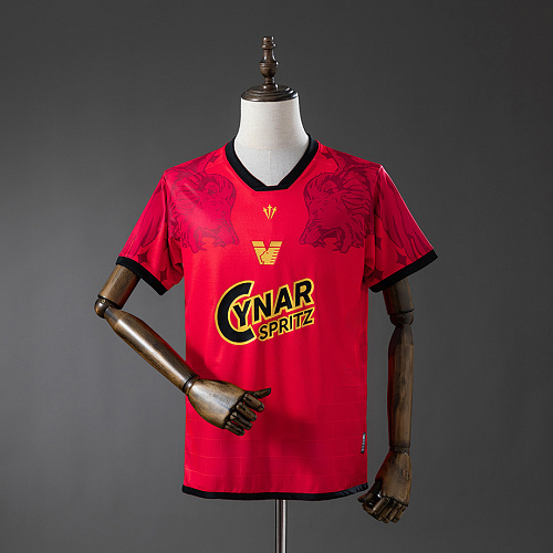 Venezia Venezia 25/26 Fourth Away Jersey S-4XL