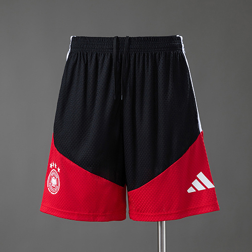 Germany Germany 2026 Player Version Training Shorts S-3XL