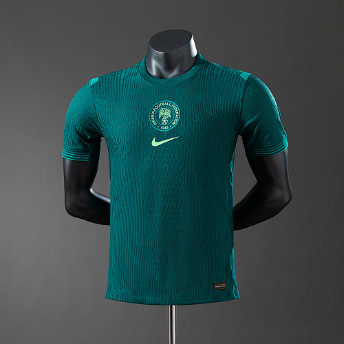 Nigeria Nigeria 2025 Away Player Version Jersey S-3XL