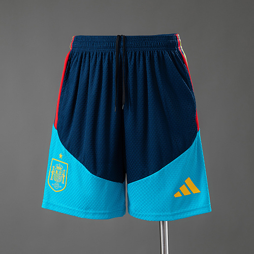 Spain Spain 2026 Player Version Training Shorts S-3XL