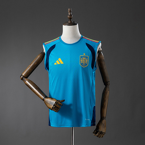 Spain Spain 26/27 Training Vest - Blue Jersey S-XXL