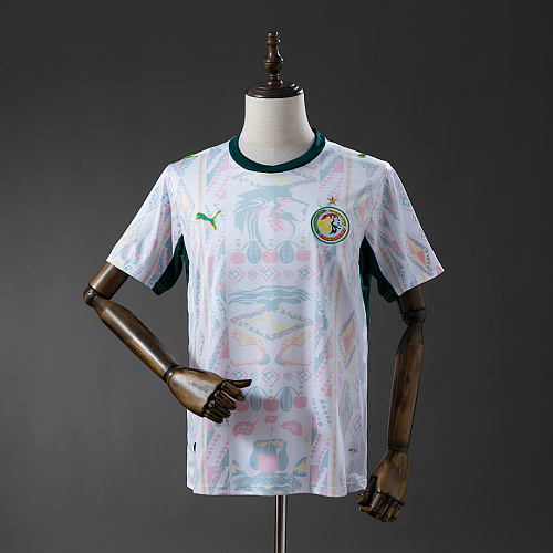 Senegal Senegal 2026 Home Jersey S-4XL