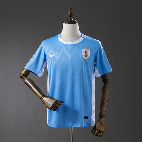 Uruguay Uruguay 2025 Home Jesery S-4XL