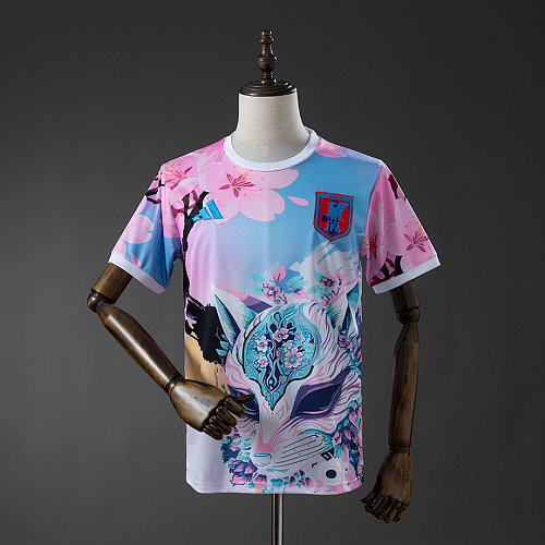 Japan Japan 25/26 Concept Cherry Blossom Jersey S-XXL