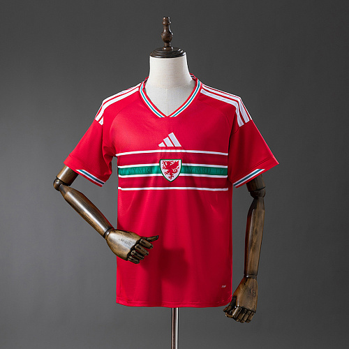 Wales Wales 2026 Home Jersey S-4XL