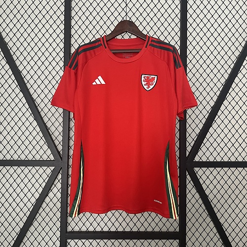 Wales 2024 Wales Home S-XXL