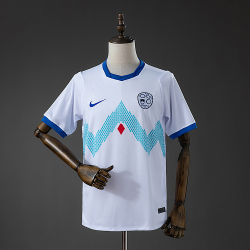 Slovenia Slovenia 2026 Home Jersey S-4XL