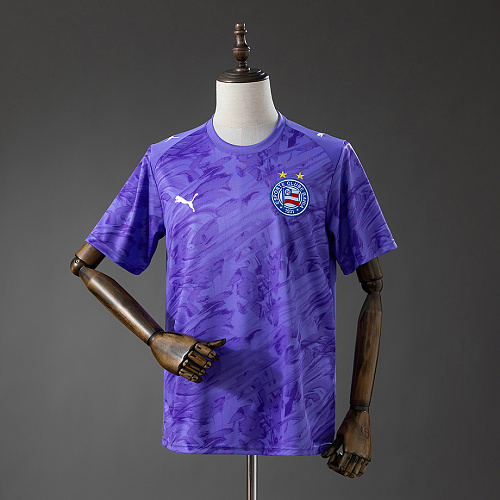 Bahia Bahia 26/27 GK-Purple Jersey S-4XL