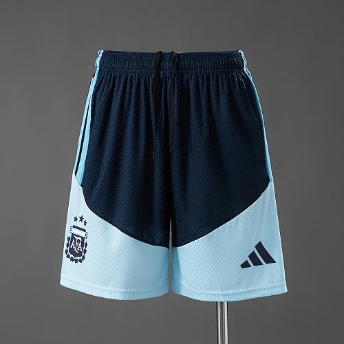Argentina Argentina 2026 Player Version Training Shorts S-3XL